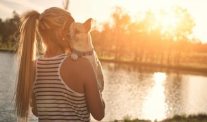 Assurer son chien