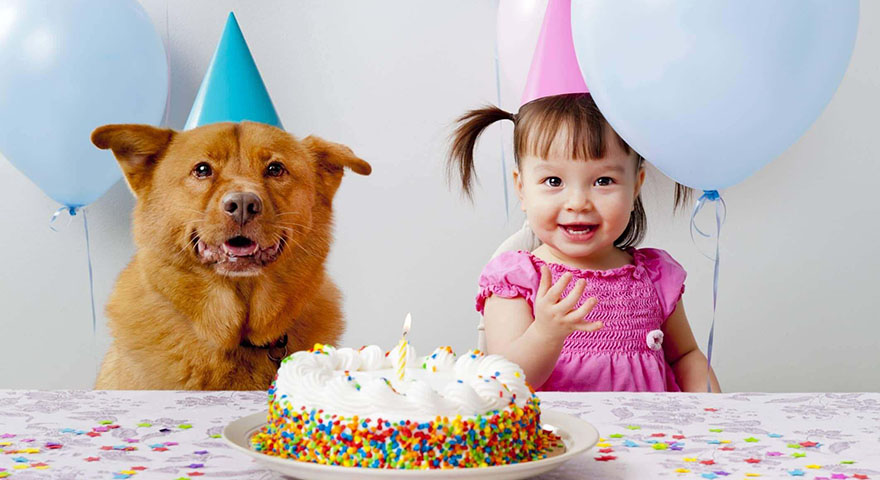 Nieuw Verjaardagstaart voor honden - Happy Best Friends QL-28